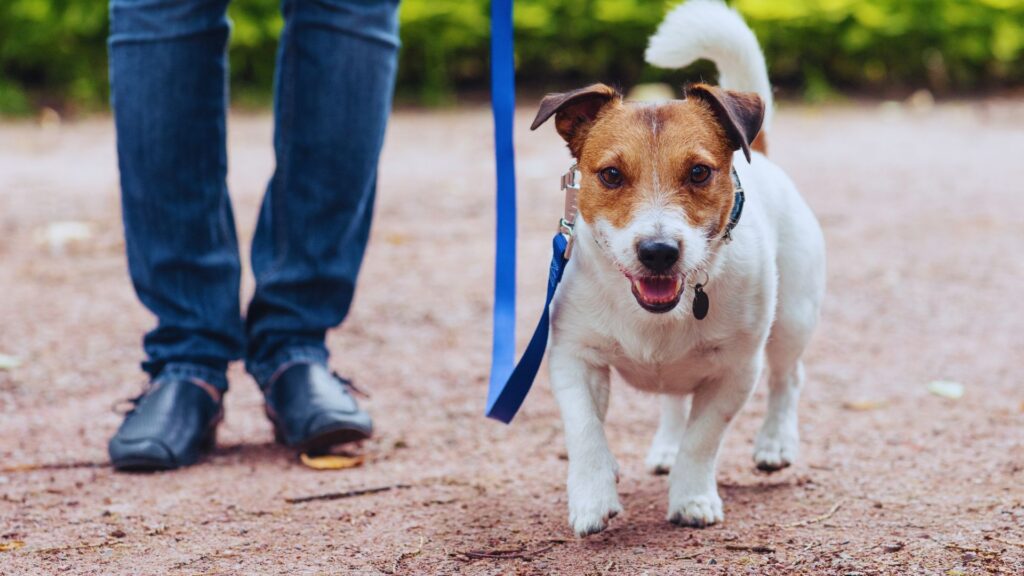 untitled design (26)