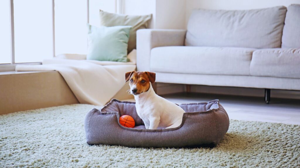 untitled design (28)