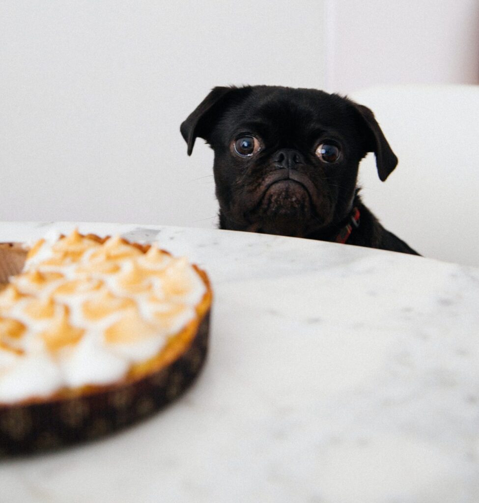 countersurfingartcharles deluvio d44hik qsvi unsplash