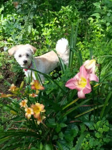 20130804 102147 scaled