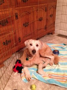 fullsizeoutput 950 scaled